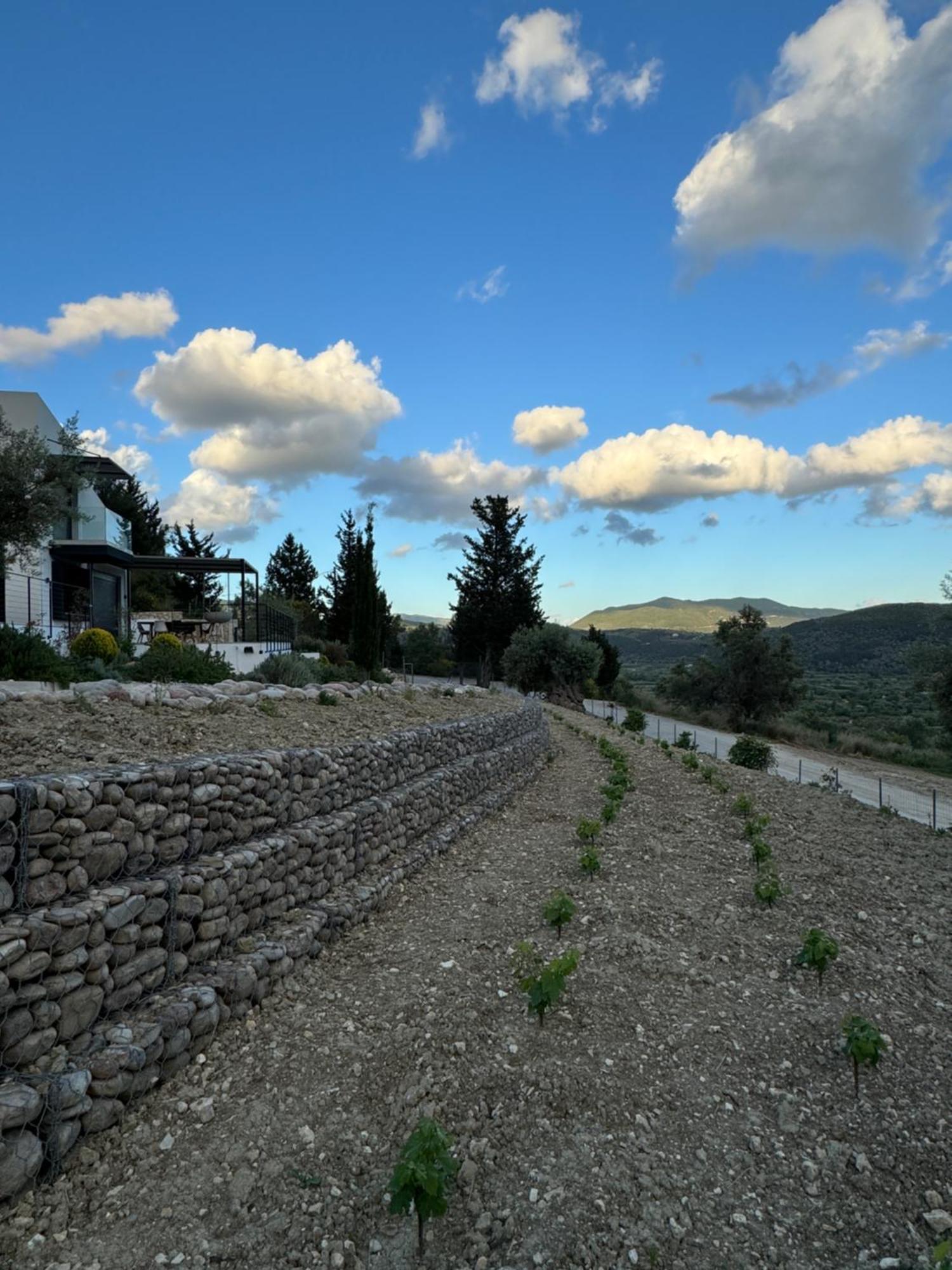 Vasiliki Houses Exterior photo