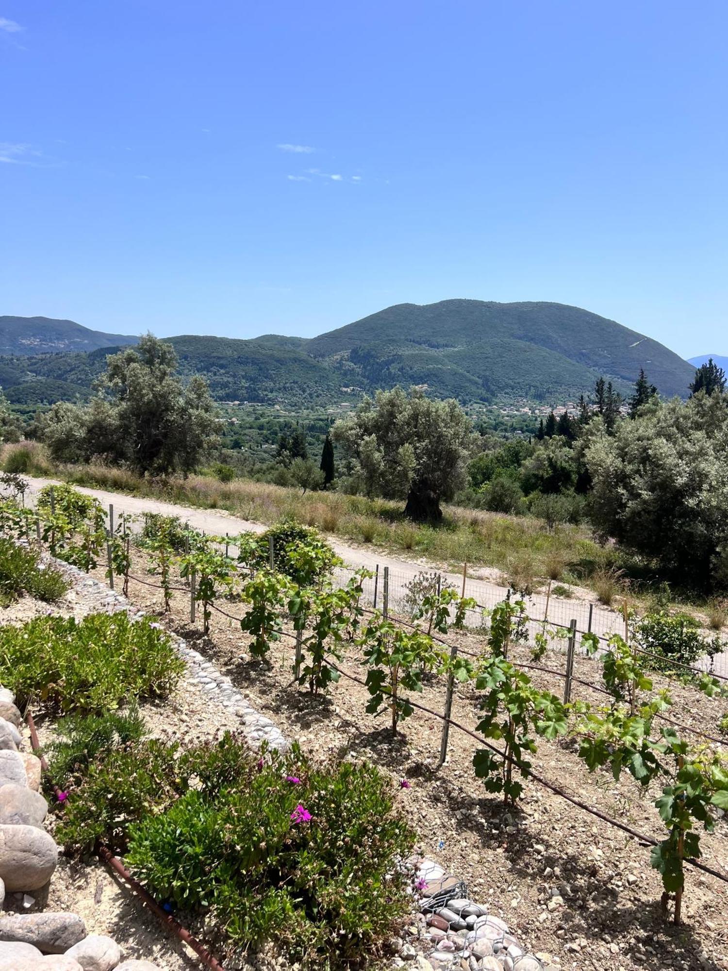 Vasiliki Houses Exterior photo